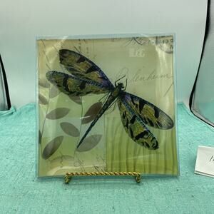 7.75” Square Pale Green Dragonfly Collector Glass Plate New In Box